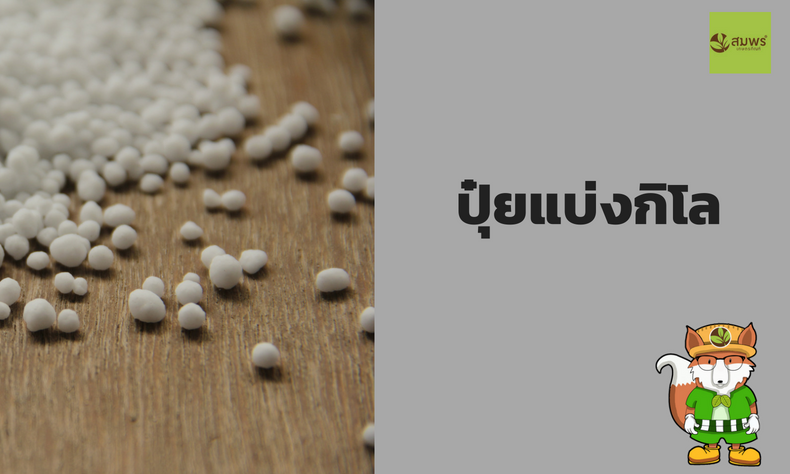 ปุ๋ยแบ่งกิโล