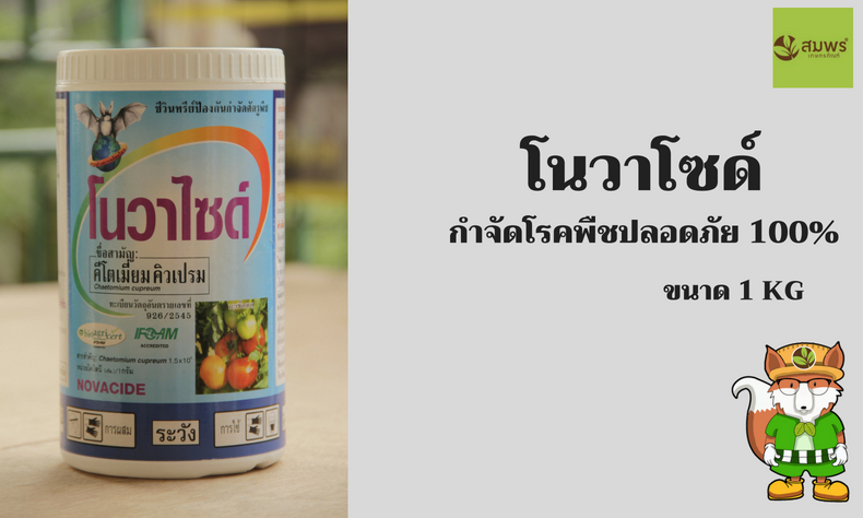 โนวาไชด์