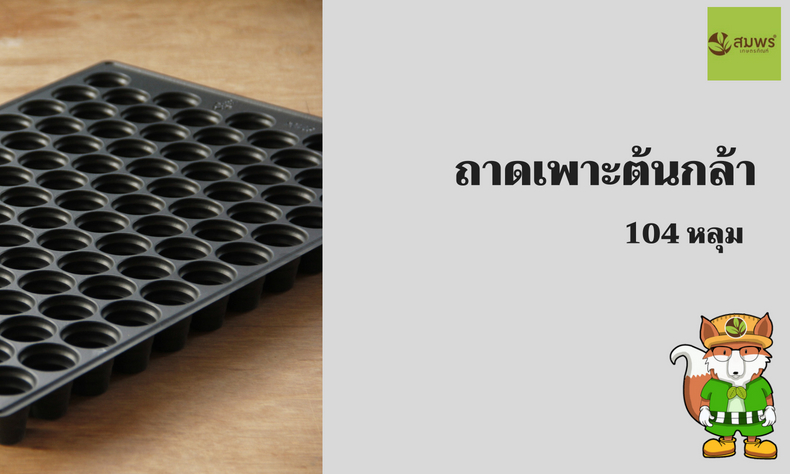 ถาดเพาะ