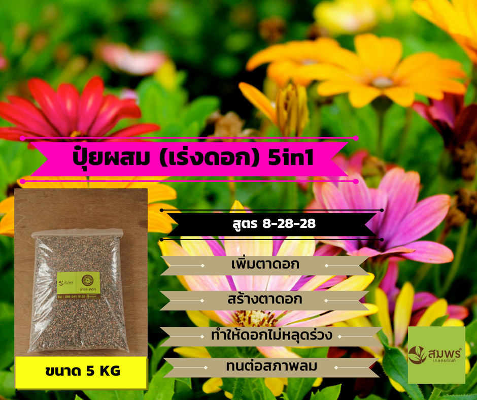 เร่งรากดอก 5 กิโล