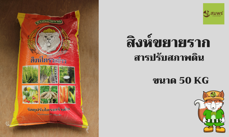 สิงห์ขยายราก