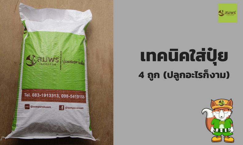 เทคนิคใส่ปุ๋ย