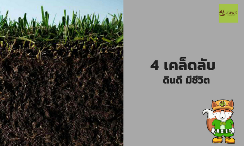 ดินดีมีชีวิต